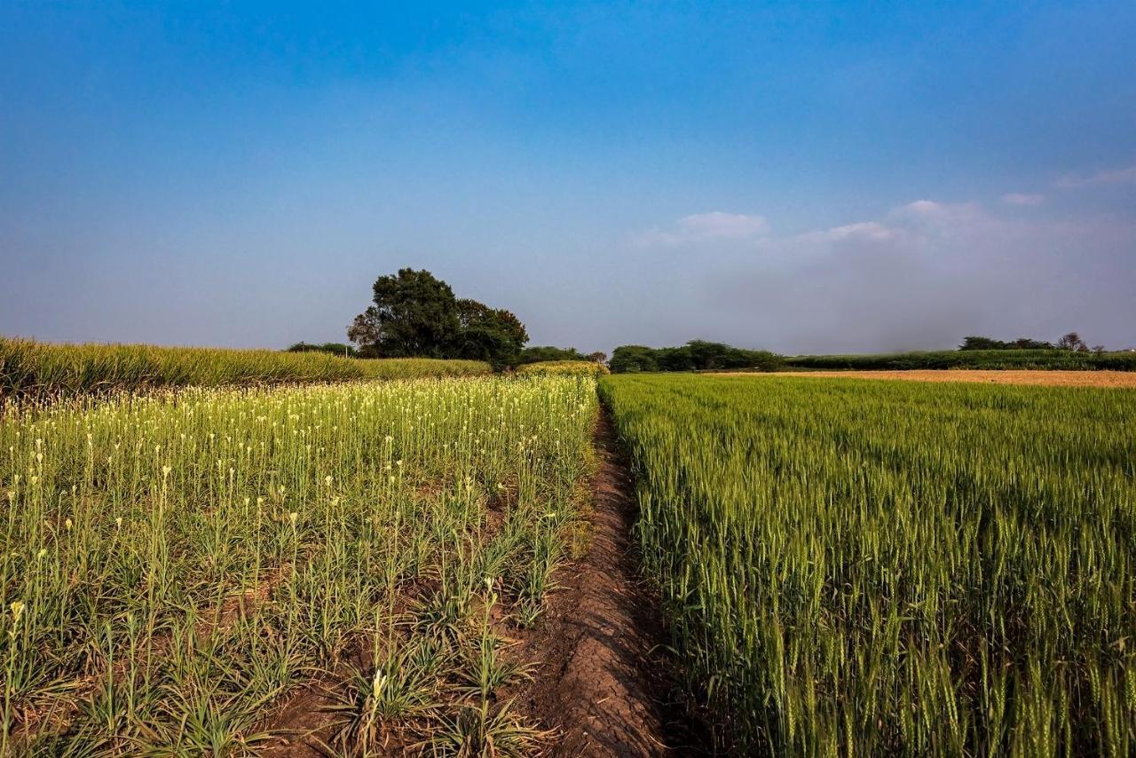 Saffronstays Happy Fields, Pune - Luxury Farmstay With Farm To Table Food Ngoại thất bức ảnh